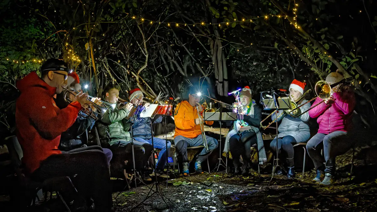 Sing along in the Park - small brass band in wooded area at night