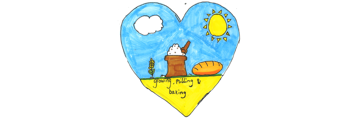 SCHOOLS PROGRAMME – Growing Grains, Milling and Baking (Phase 2 – Harvest)