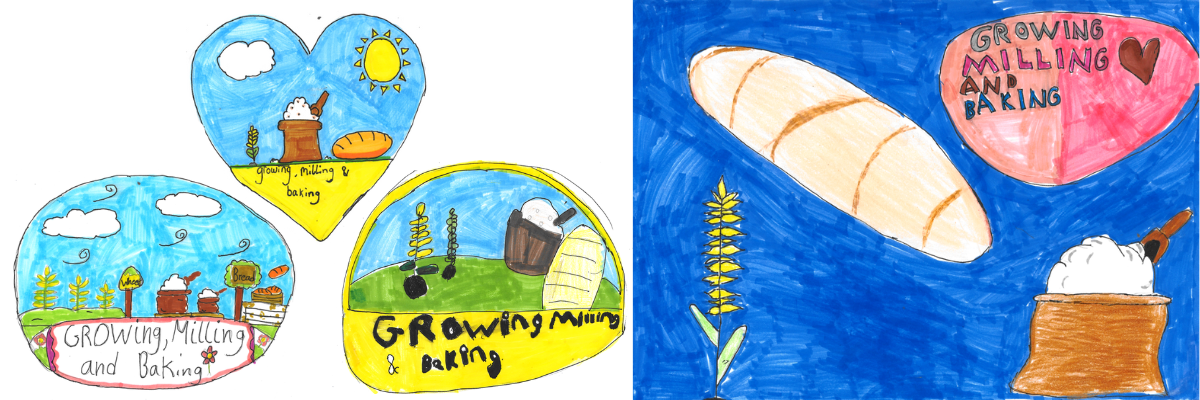 SCHOOLS PROGRAMME – Growing , Milling and Baking (phase 1 – sowing)