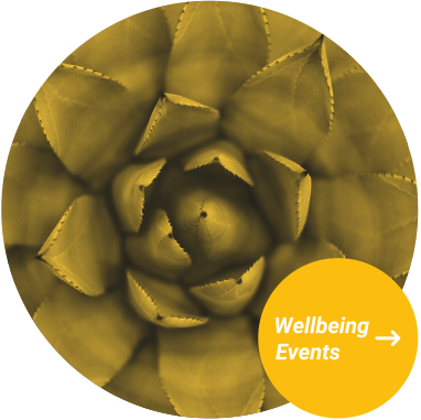Rutherglen 900 - wellbeing events icon with yellow tinted plant