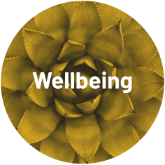 Rutherglen 900- wellbeing image of plant with text overlay